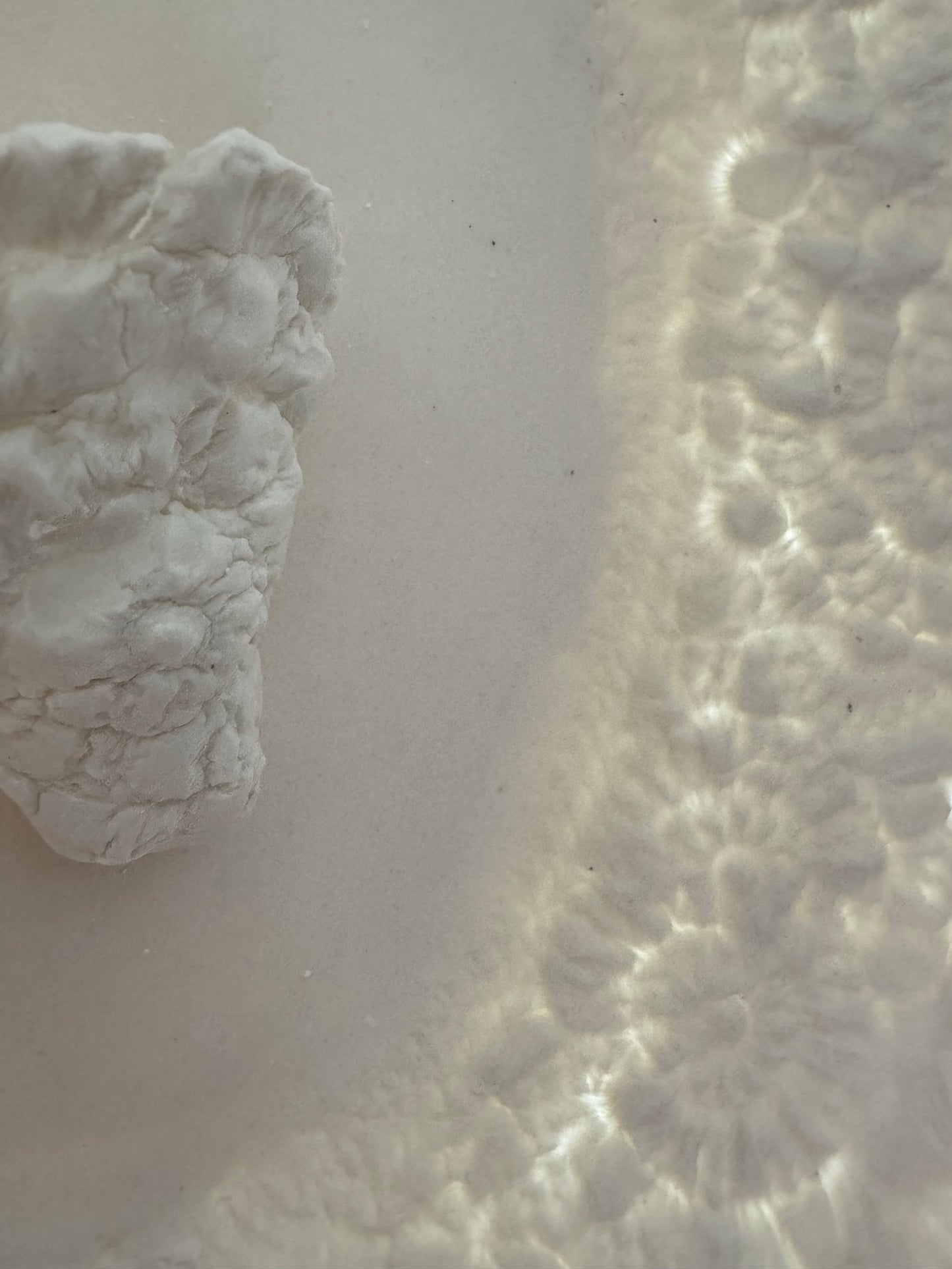 Sacha Porcelain Wallplate