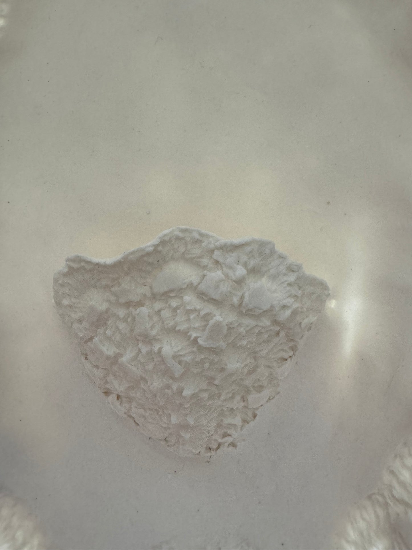 Sofia Porcelain Wallplate